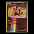 Pignite 18/114 – Black & White (Reverse Holo)