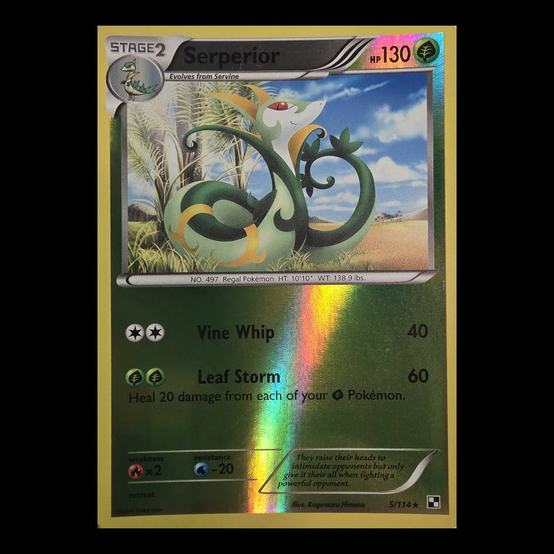 Serperior 5/114 – Black & White (Holo Rare)