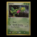 Treecko 016 – Black Star Promo (Holo swirl on above head)
