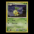 Turtwig LV.10 103/130 – Diamond & Pearl (Holo)